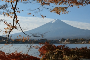 Tokyo : Mt. Fuji Skyline JDM Car Driving Tour from Tokyo