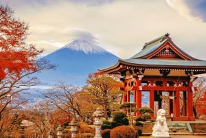 Tokyo: Mt. Fuji Tour, Hakone Ropeway, Owakudani, Lake Ashi