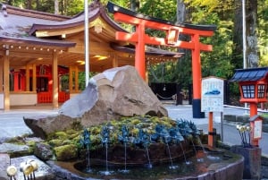 Tokyo: Mt. Fuji Tour, Hakone Ropeway, Owakudani, Lake Ashi