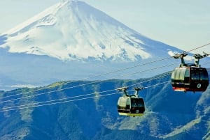 Tokyo: Mt. Fuji Tour, Hakone Ropeway, Owakudani, Lake Ashi