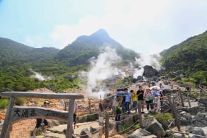 Tokyo: Mt. Fuji Tour, Hakone Ropeway, Owakudani, Lake Ashi