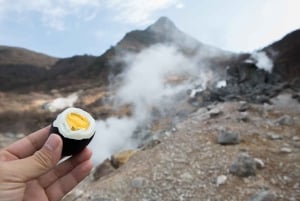 Tokyo: Mt. Fuji Tour, Hakone Ropeway, Owakudani, Lake Ashi