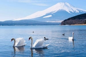 Tokyo: Mt. Fuji Tour, Hakone Ropeway, Owakudani, Lake Ashi