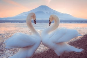 Tokyo: Mt. Fuji Tour, Hakone Ropeway, Owakudani, Lake Ashi