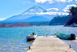 Tokyo: Mt. Fuji Tour, Hakone Ropeway, Owakudani, Lake Ashi