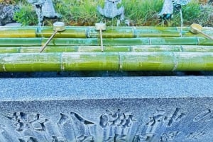 Tokyo: Mt. Fuji Tour, Hakone Ropeway, Owakudani, Lake Ashi