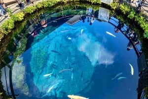 Tokyo: Mt. Fuji Tour, Hakone Ropeway, Owakudani, Lake Ashi