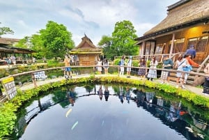 Tokyo: Mt. Fuji Tour, Hakone Ropeway, Owakudani, Lake Ashi