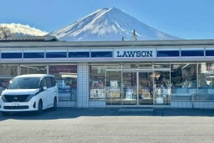 Полный день экскурсии по живописным местам горы Фудзи