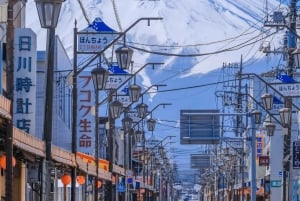 Полный день экскурсии по живописным местам горы Фудзи