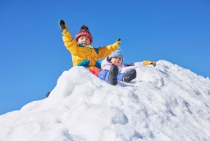 Tokyo: Utsikt över Fuji med Fujiten Snow Fun & Oishi Park Tour