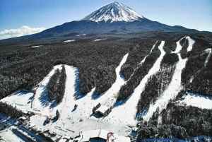 Tokyo: Utsikt över Fuji med Fujiten Snow Fun & Oishi Park Tour