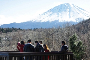 Tokyo: Utsikt över Fuji med Fujiten Snow Fun & Oishi Park Tour