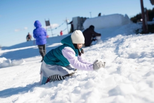 Tokyo: Utsikt över Fuji med Fujiten Snow Fun & Oishi Park Tour