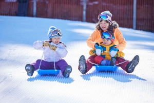 Tokyo: Utsikt över Fuji med Fujiten Snow Fun & Oishi Park Tour