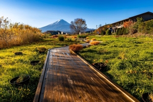 Tokyo: Utsikt över Fuji med Fujiten Snow Fun & Oishi Park Tour