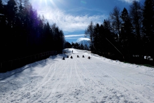 Tokyo: Utsikt över Fuji med Fujiten Snow Fun & Oishi Park Tour