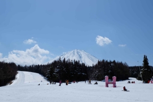 Tokyo: Utsikt över Fuji med Fujiten Snow Fun & Oishi Park Tour
