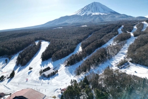 Tokyo: Utsikt över Fuji med Fujiten Snow Fun & Oishi Park Tour