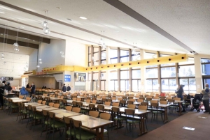 Tokyo: Utsikt över Fuji med Fujiten Snow Fun & Oishi Park Tour