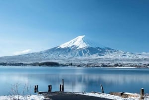 Tokyo: gita di un giorno al Monte Fuji per ammirare i ciliegi in fiore e le terme di Yamanaka