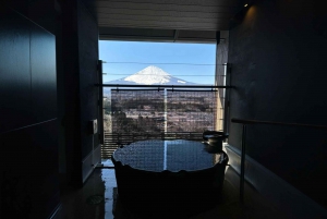 Tokyo: gita di un giorno al Monte Fuji per ammirare i ciliegi in fiore e le terme di Yamanaka