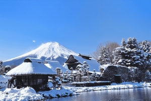 Tokyo: gita di un giorno al Monte Fuji per ammirare i ciliegi in fiore e le terme di Yamanaka