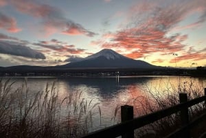 Tokyo: gita di un giorno al Monte Fuji per ammirare i ciliegi in fiore e le terme di Yamanaka