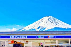 Tokyo: gita di un giorno al Monte Fuji per ammirare i ciliegi in fiore e le terme di Yamanaka