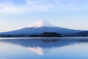 Tokyo: gita di un giorno al Monte Fuji per ammirare i ciliegi in fiore e le terme di Yamanaka