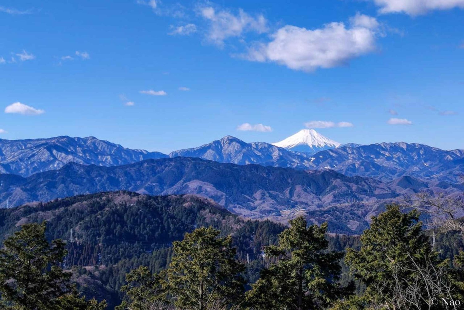 Tokyo: Natur- og kulturvandring på Takao-fjellet med privat guide