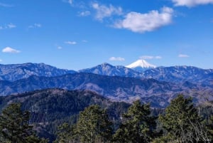 Tokio: Natur- und Kulturwanderung auf dem Berg Takao mit privatem Guide