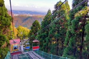 Tokio: Natur- und Kulturwanderung auf dem Berg Takao mit privatem Guide