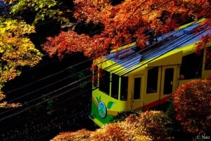 Tokio: Natur- und Kulturwanderung auf dem Berg Takao mit privatem Guide