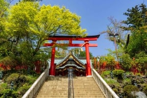 Tokio: Natur- und Kulturwanderung auf dem Berg Takao mit privatem Guide