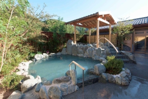 Tokyo: Takao-tur med ramen och tatueringsvänlig varm källa