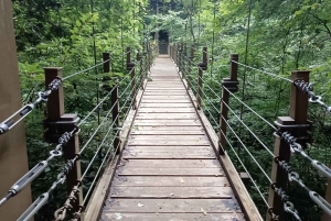Tokyo: Mt Takao-tur med ramen og tatoveringsvennlig varm kilde