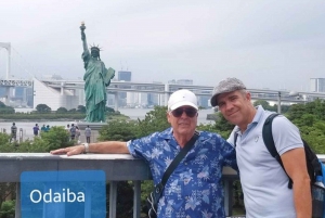 Tokio : Must-see Attraktionen private Tour