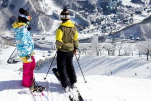 Tokyo:Izu Penisula Train Mt Omuro, Capybara Sightseeing Trip