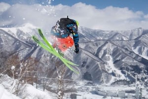 Tokyo:Izu Penisula Train Mt Omuro, Capybara Sightseeing Trip