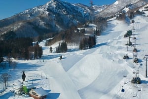 Tokyo:Izu Penisula Train Mt Omuro, Capybara Sightseeing Trip