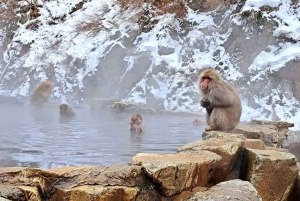 Токио: однодневная поездка в Нагано с дзэн-каллиграфией и чайной церемонией