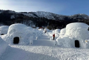 Tokyo: Privat tur til Nagano med iglolandsby og sneaber