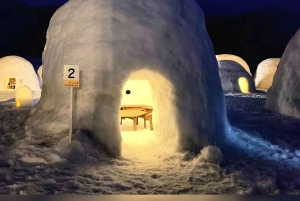 Tokyo: Privat tur til Nagano med iglolandsby og sneaber