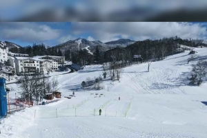 Tokyo: Privat tur til Nagano med iglolandsby og sneaber