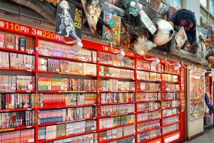 Tokyo: Guidet byvandring om animekultur i Nakano