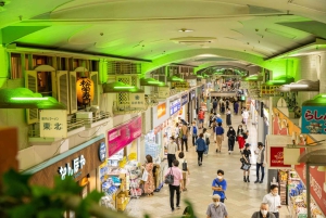 Tokyo: Guidet byvandring om animekultur i Nakano