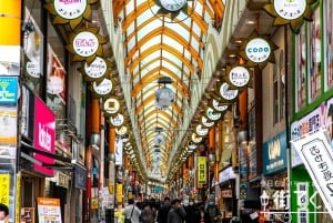 Tokyo: Guidet byvandring om animekultur i Nakano