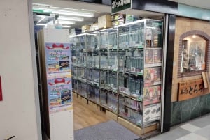 Tokyo : visite guidée shopping de 1h30 dans le quartier otaku de Nakano Broadway