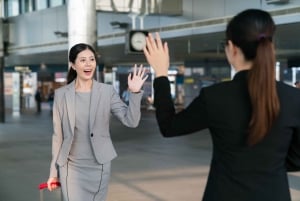 Tokyo: Narita Airport Meet-and-Greet Service